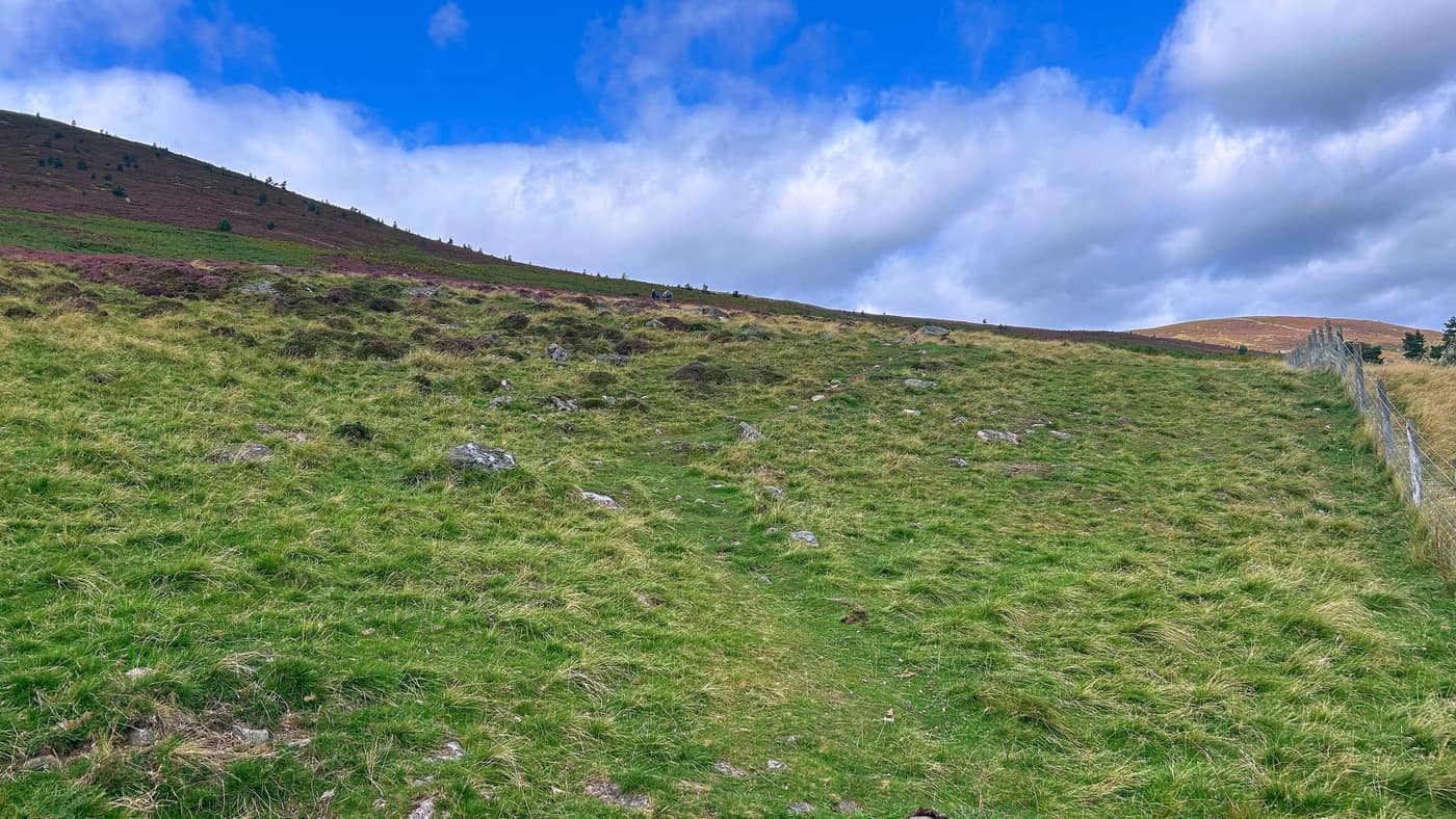 The faint line of a path through the rough grass