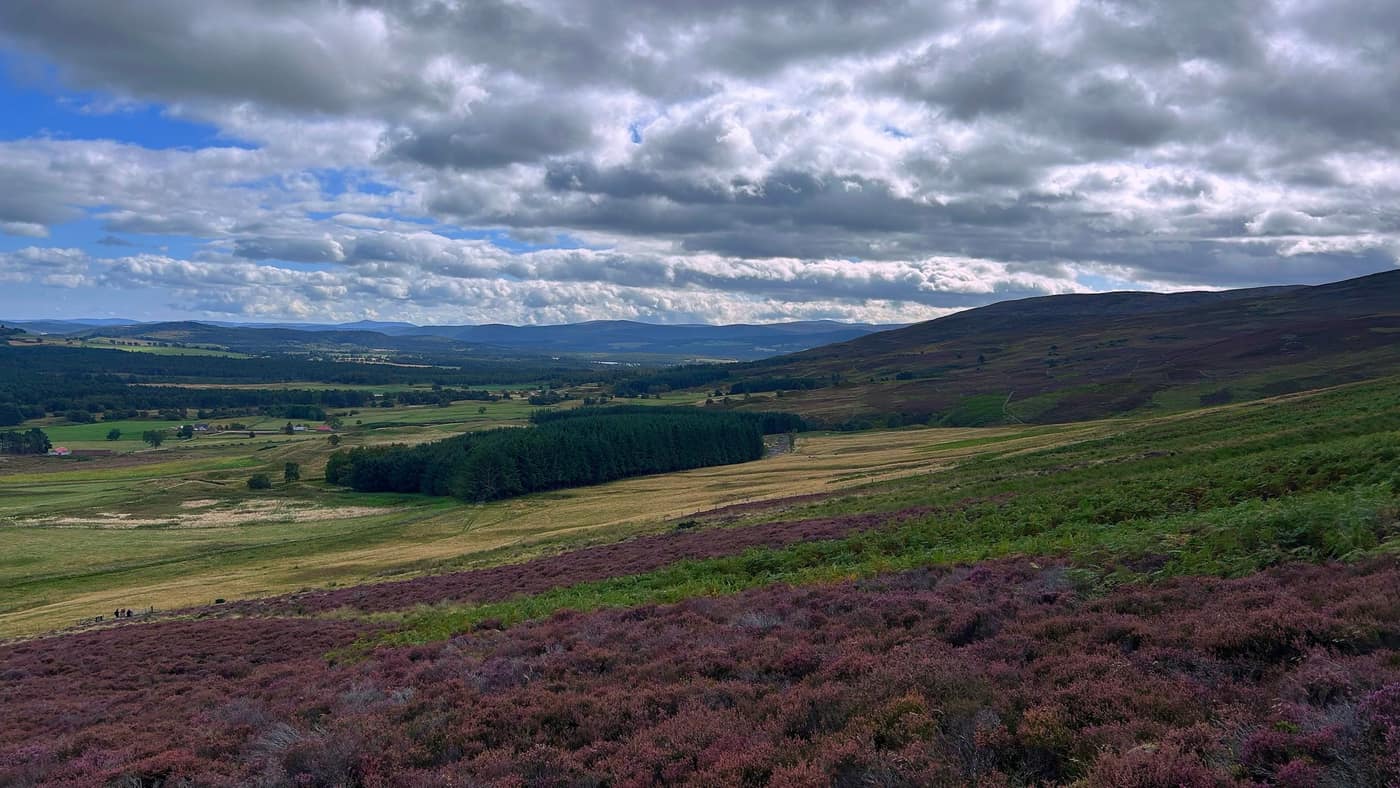 The glen opening out, heather in the foreground