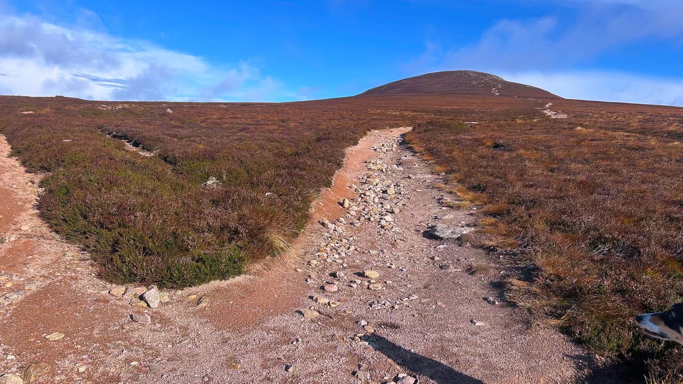 The summit cone of Mount Keen straight ahead, the path going up the side of it — and Chase's nose in the corner
