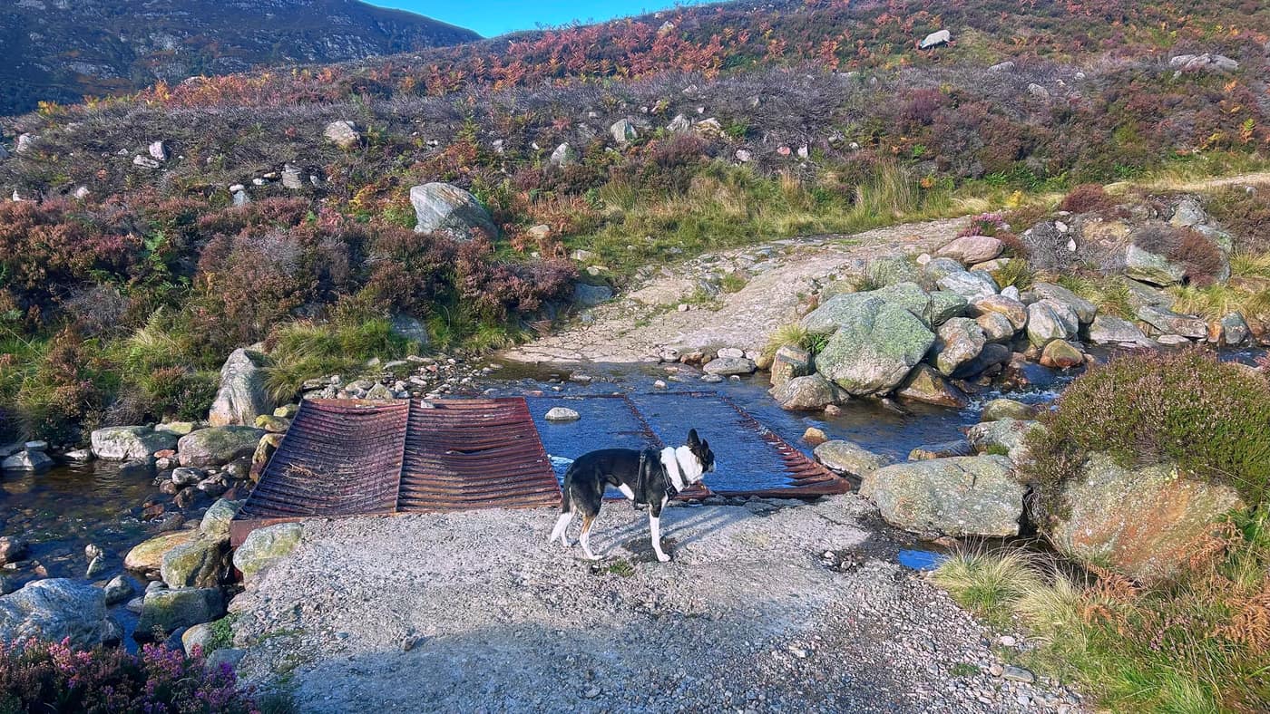 Chase crossing the old metal ford over the burn