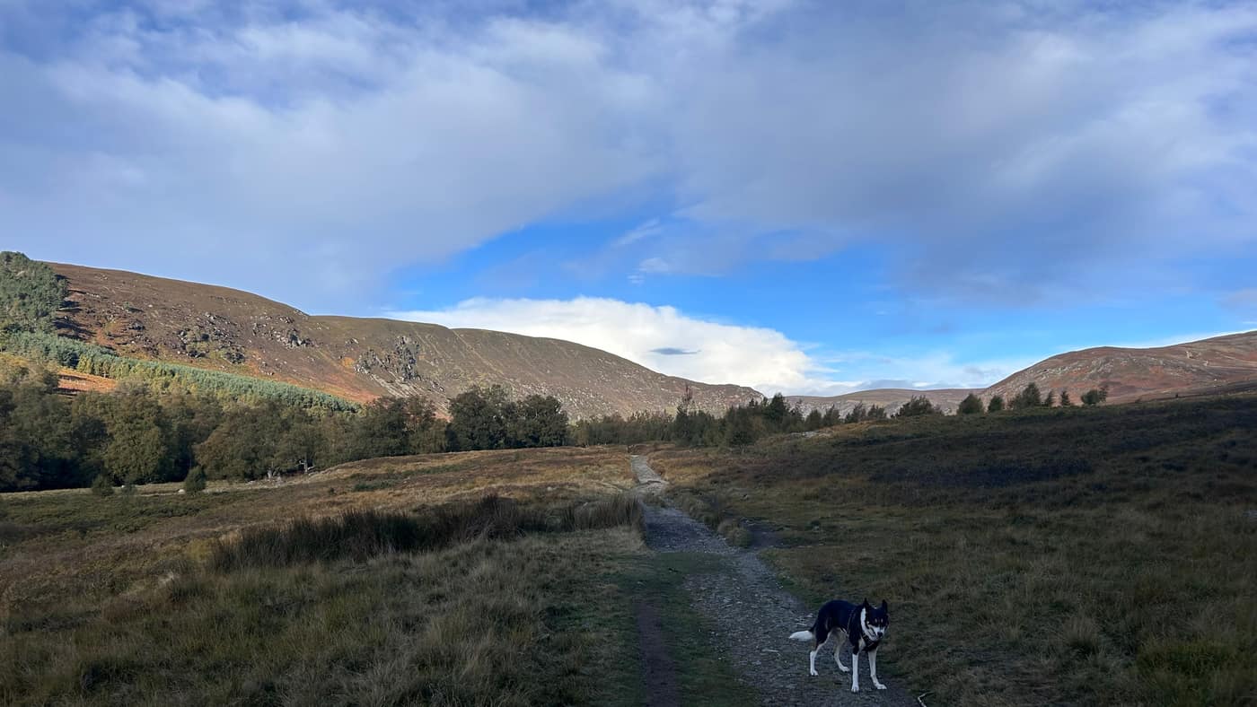 Chase on the stony path, the glen opening up ahead