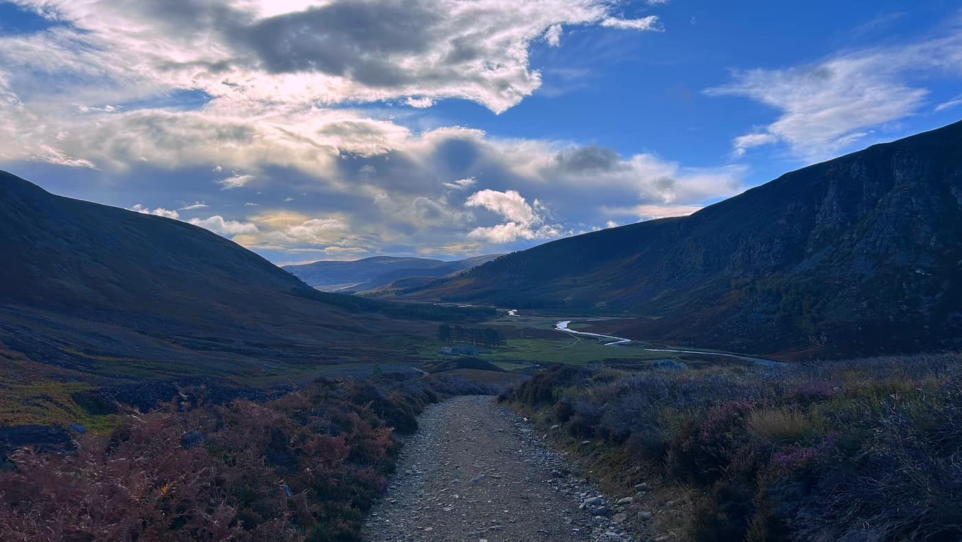 Looking back down the track to the lodge and the pines, the glen behind
