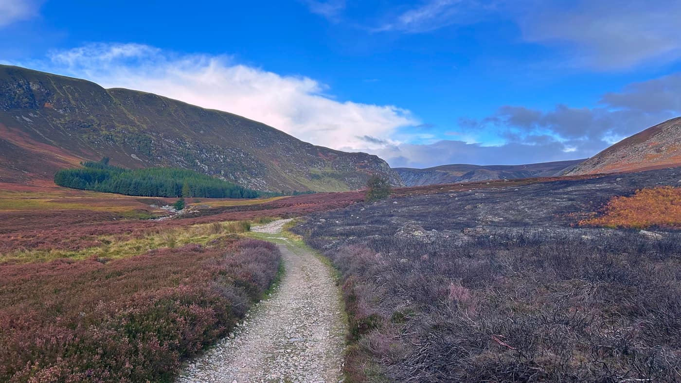 The path through the heather, the glen walls rising either side