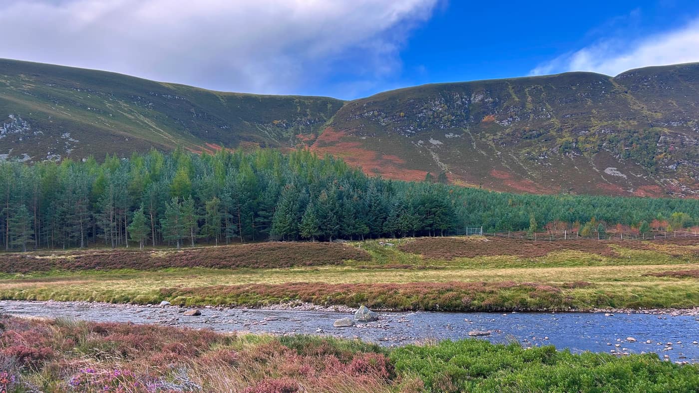 The Water of Mark below the crags, pines along the far bank