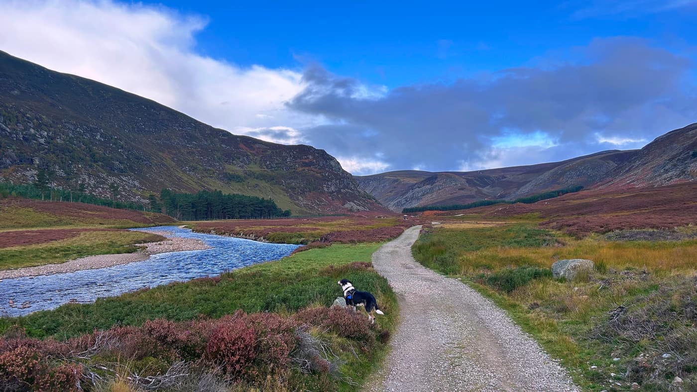 Chase at the edge of the Water of Mark, the track running on up the glen