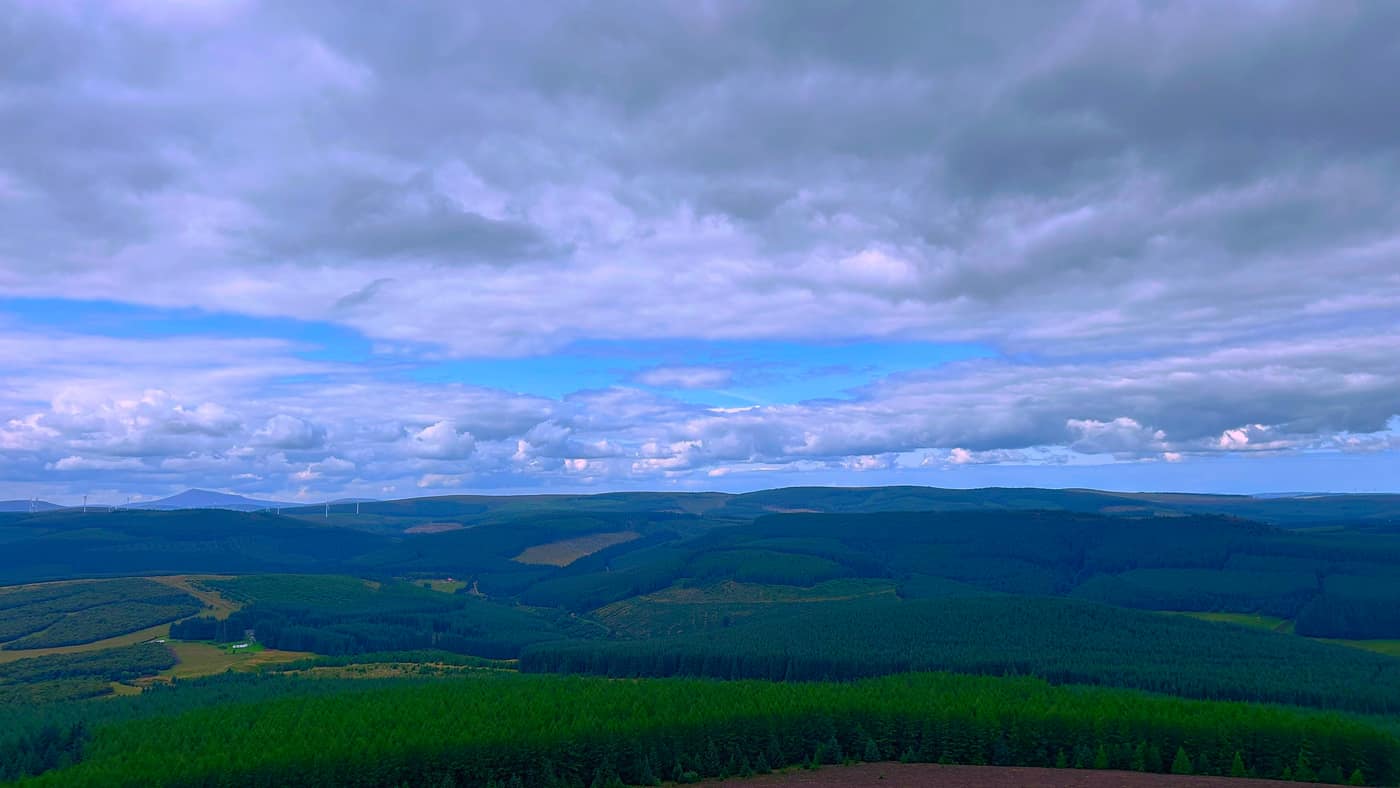 Dark forestry rolling out to the horizon, turbines on the skyline