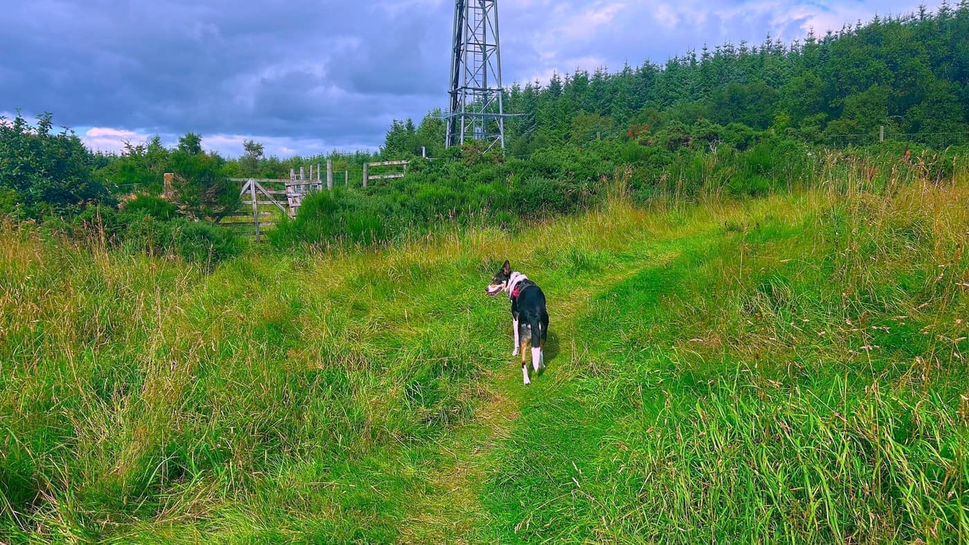 The gate on the left and the path bearing right, with the mast
behind