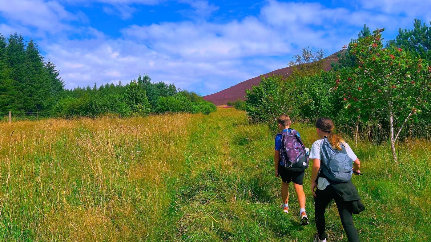 The kids on the grassy path with the heather slope
ahead