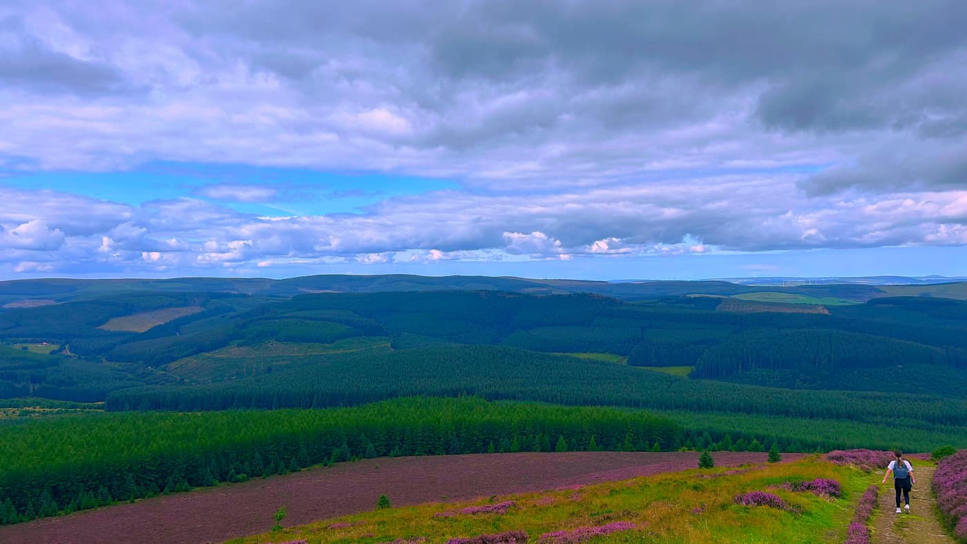 One of the girls on the path with the forestry behind