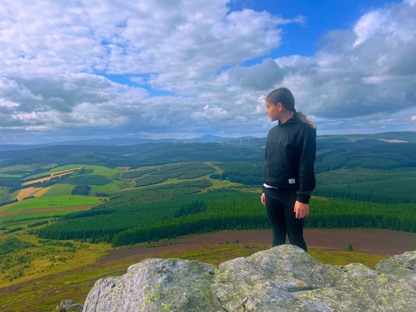 Stood up on a rock looking out over the forestry