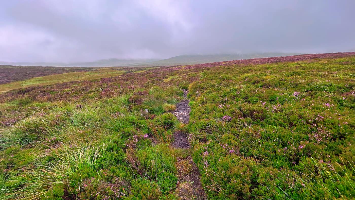 The path narrowing to a strip of peat between the heather