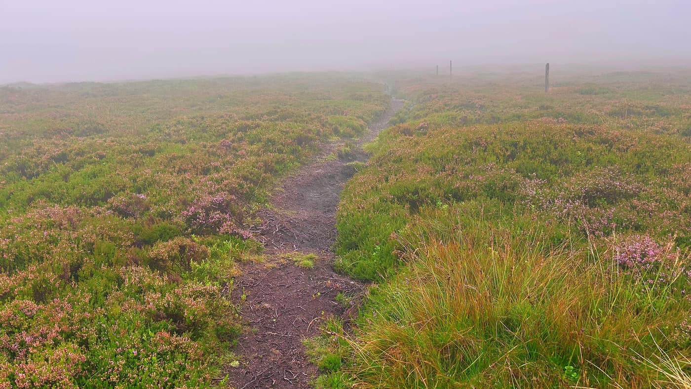 The path climbing between the heather with the fence posts standing in the mist ahead