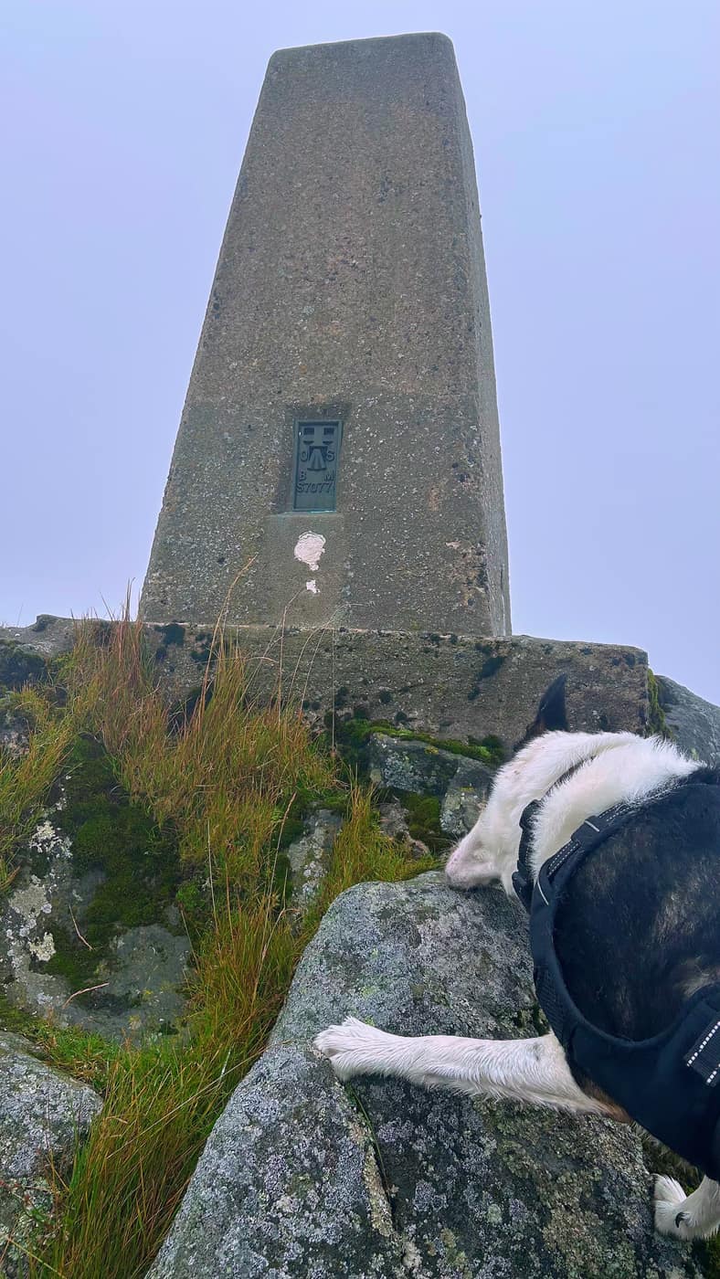 Chase lying on the rock below the trig point, treat in front of him